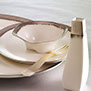 Gold/Platinum dinnerware 1